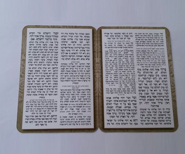 ברכון BY230-2 ברכון BY230-2